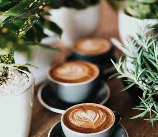 Presto Nespresso Capsule