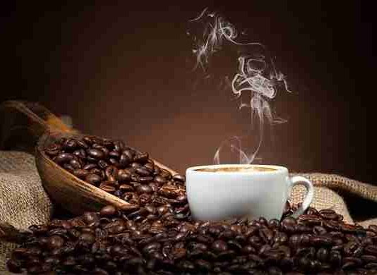 Best Organic Coffee Brands