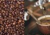 Discover the Best Roasted Whole Bean Coffee Online – Freshly Roasted Coffee Beans for Sale The Best Coffee Beans To Buy in 2021