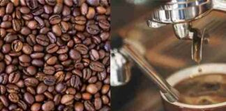 The Best Coffee Beans To Buy in 2021