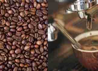 The Best Coffee Beans To Buy in 2021