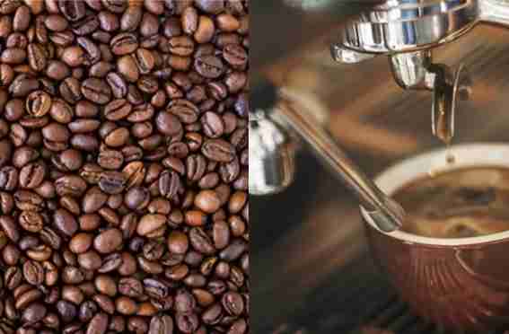 The Best Coffee Beans To Buy in 2021