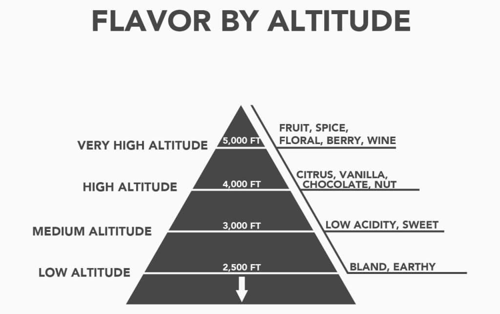 How Does The Altitude Of Coffee Plantations Impact Flavor?