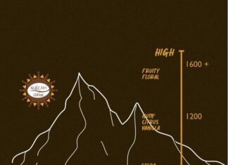 how does the altitude of coffee plantations impact flavor 5