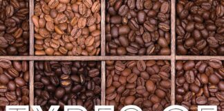 what are the main types of coffee beans 3