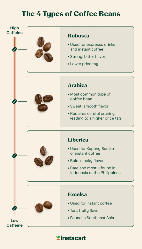What Are The Main Types Of Coffee Beans?