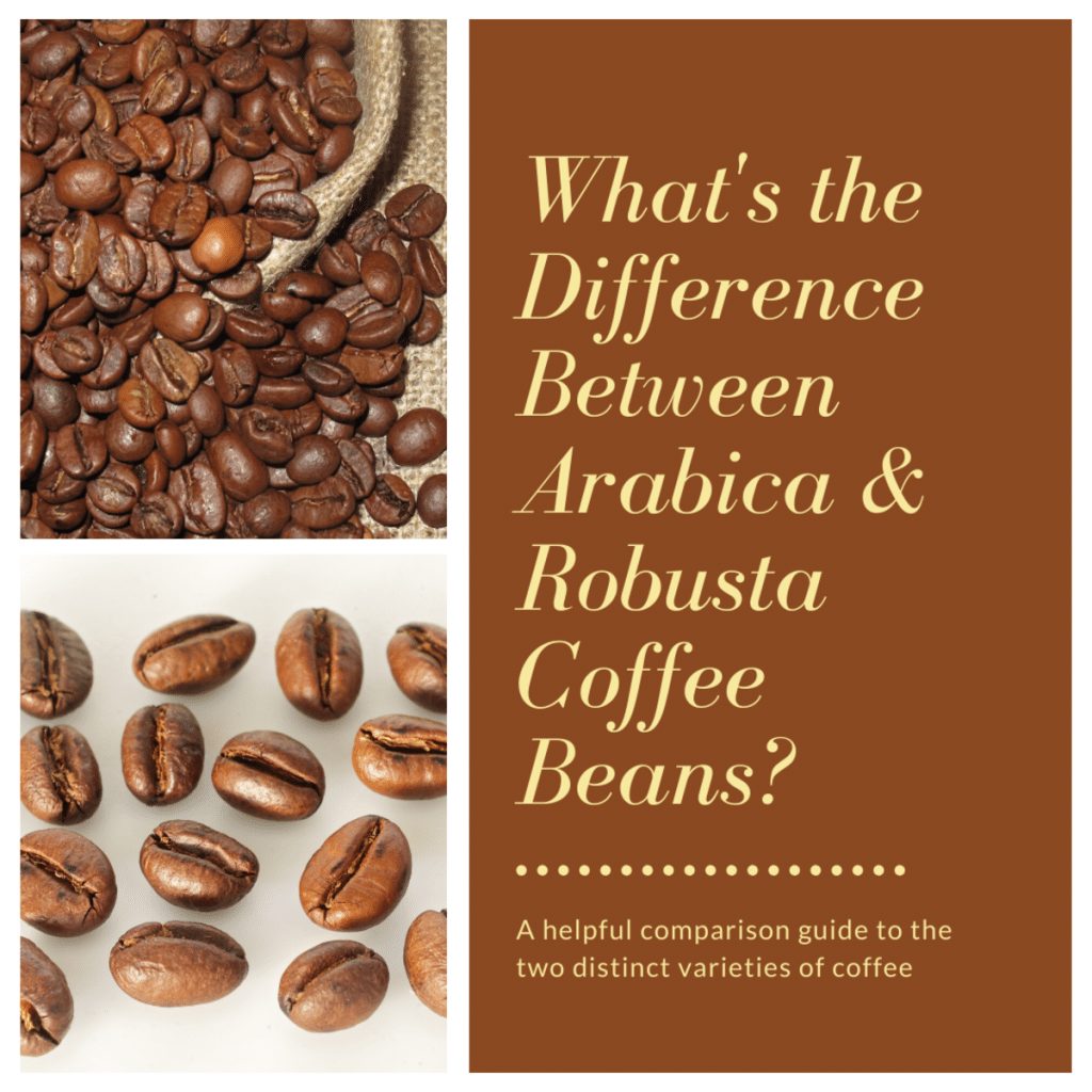 Whats The Difference Between Arabica And Robusta Coffee?