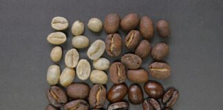 what are the main types of coffee beans and whats the difference between them