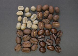 what are the main types of coffee beans and whats the difference between them