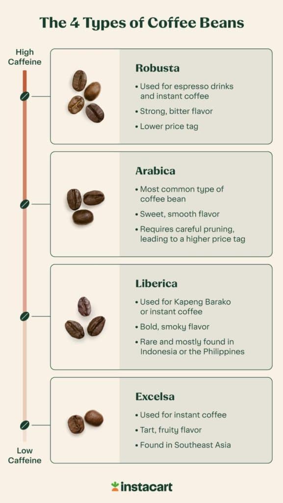 What Are The Main Types Of Coffee Beans And Whats The Difference Between Them?