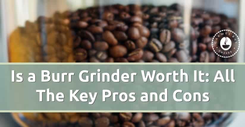 What Is The Disadvantage Of Burr Grinder?