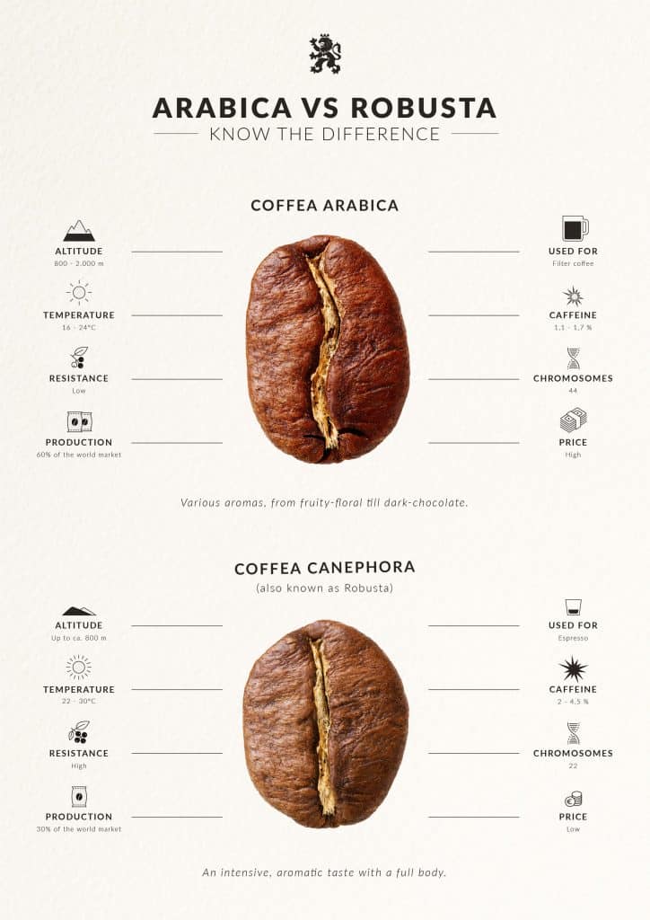 Whats The Difference Between Arabica And Robusta Coffee Beans?