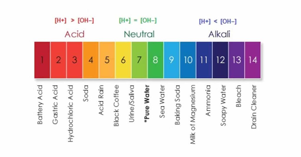 Whats The Role Of Acidity In Coffee Taste?