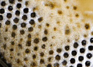 how do you clean mold out of a coffee maker