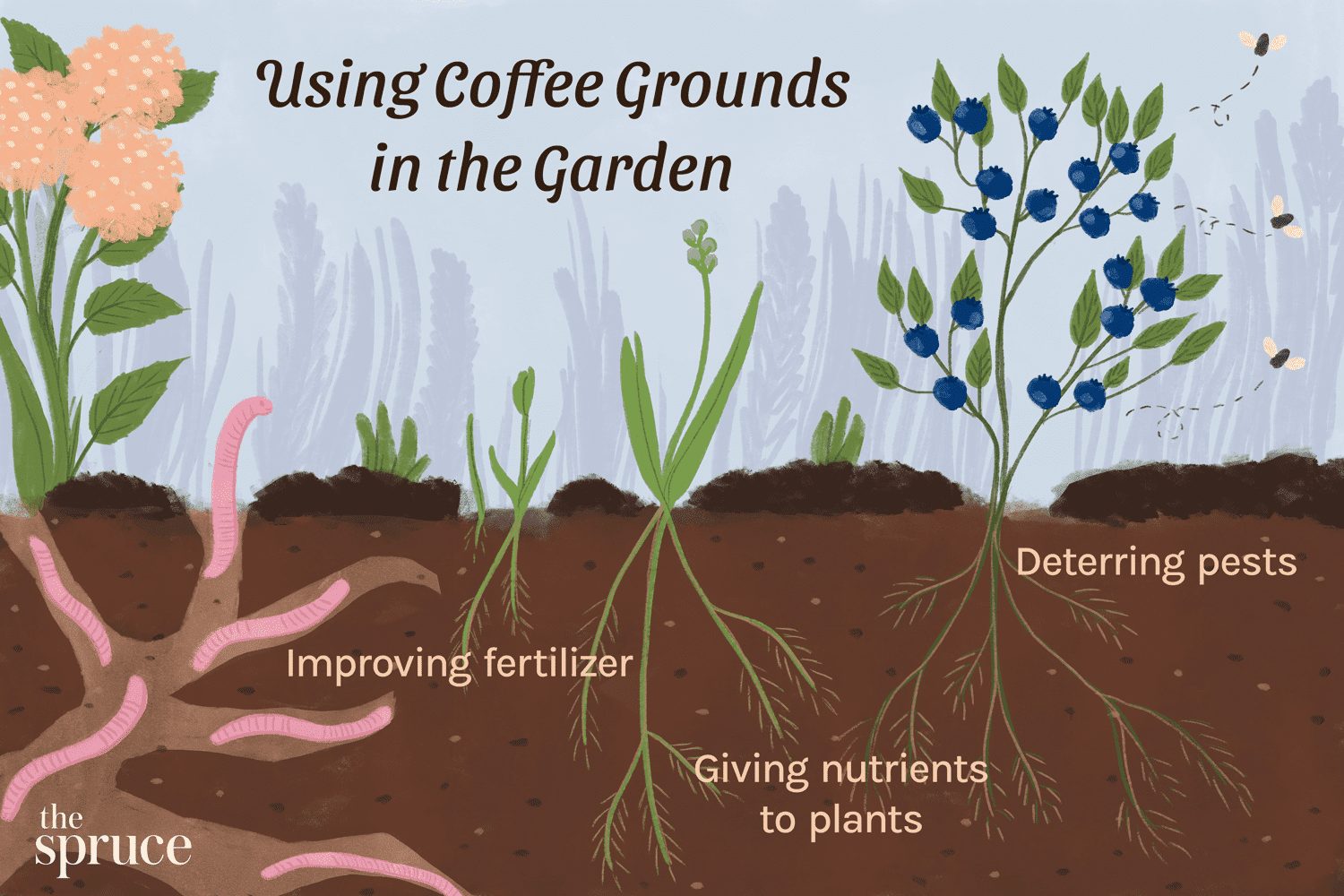 What Are Coffee Grounds Good For Besides Brewing Coffee?