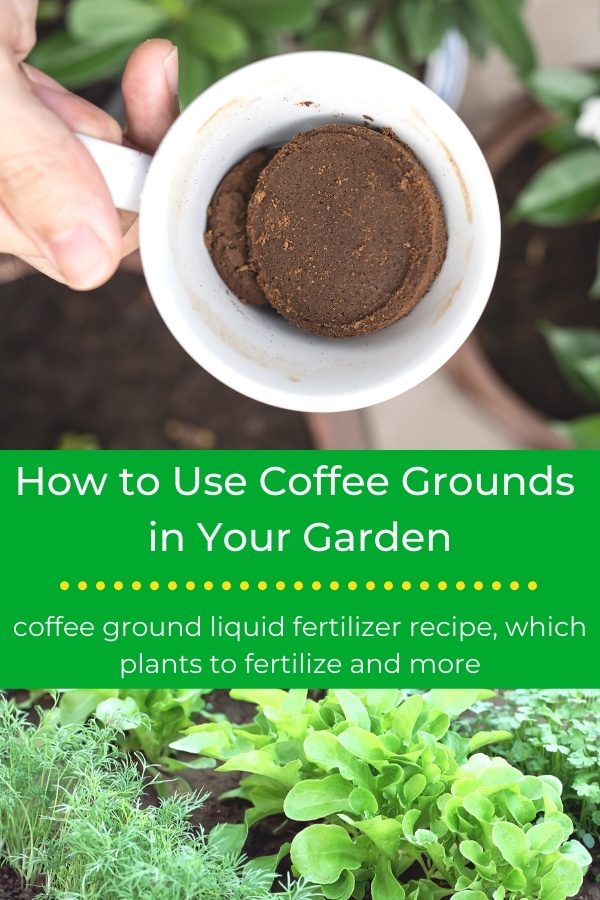What Are Coffee Grounds Good For Besides Brewing Coffee?