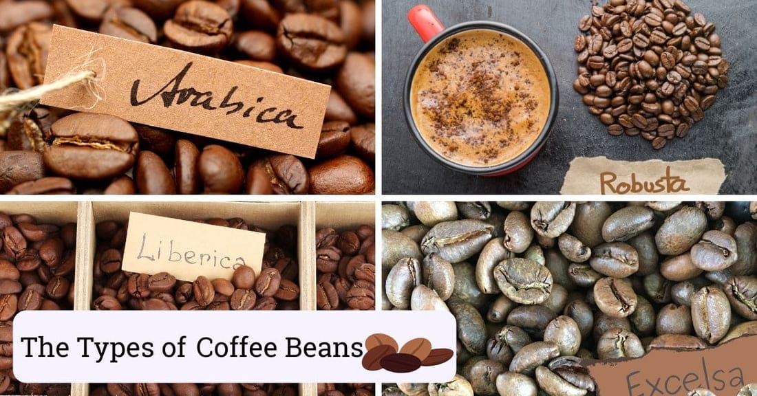 Acidic Coffee - Bright, Tart Coffee Bean Varieties