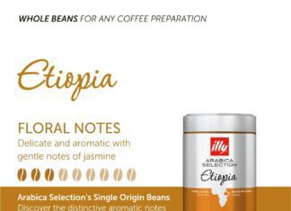 illy classico whole bean coffee review