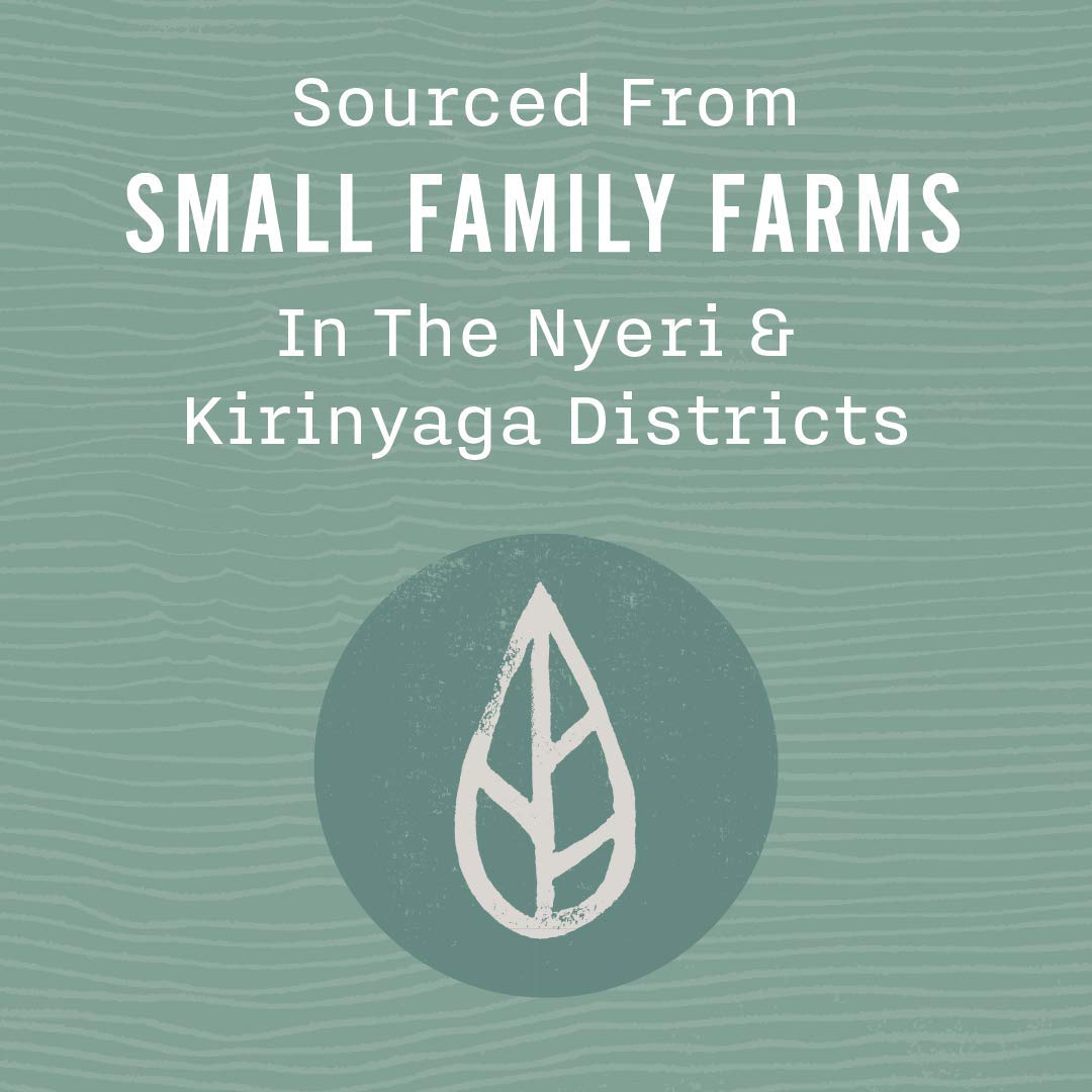 Allegro Coffee Vienna Roast Whole Bean Coffee, 12 oz (Pack of 3)